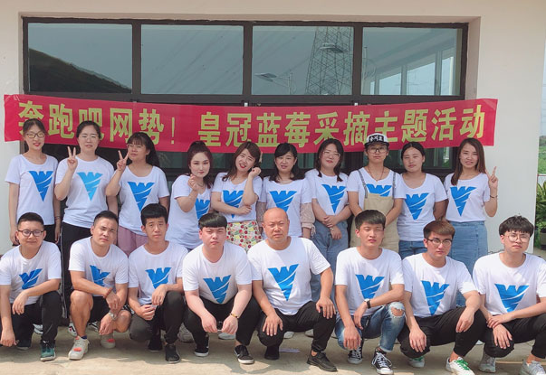 【奔跑吧網(wǎng)勢(shì)！】藍(lán)莓采摘主題團(tuán)建活動(dòng)